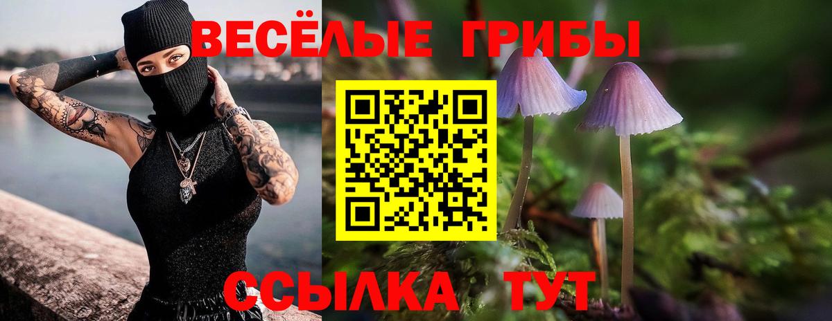 Галлюциногенные грибы Psilocybe  Псилоцибиновые грибы ЛСД  Архангельск  Вход с VPN 